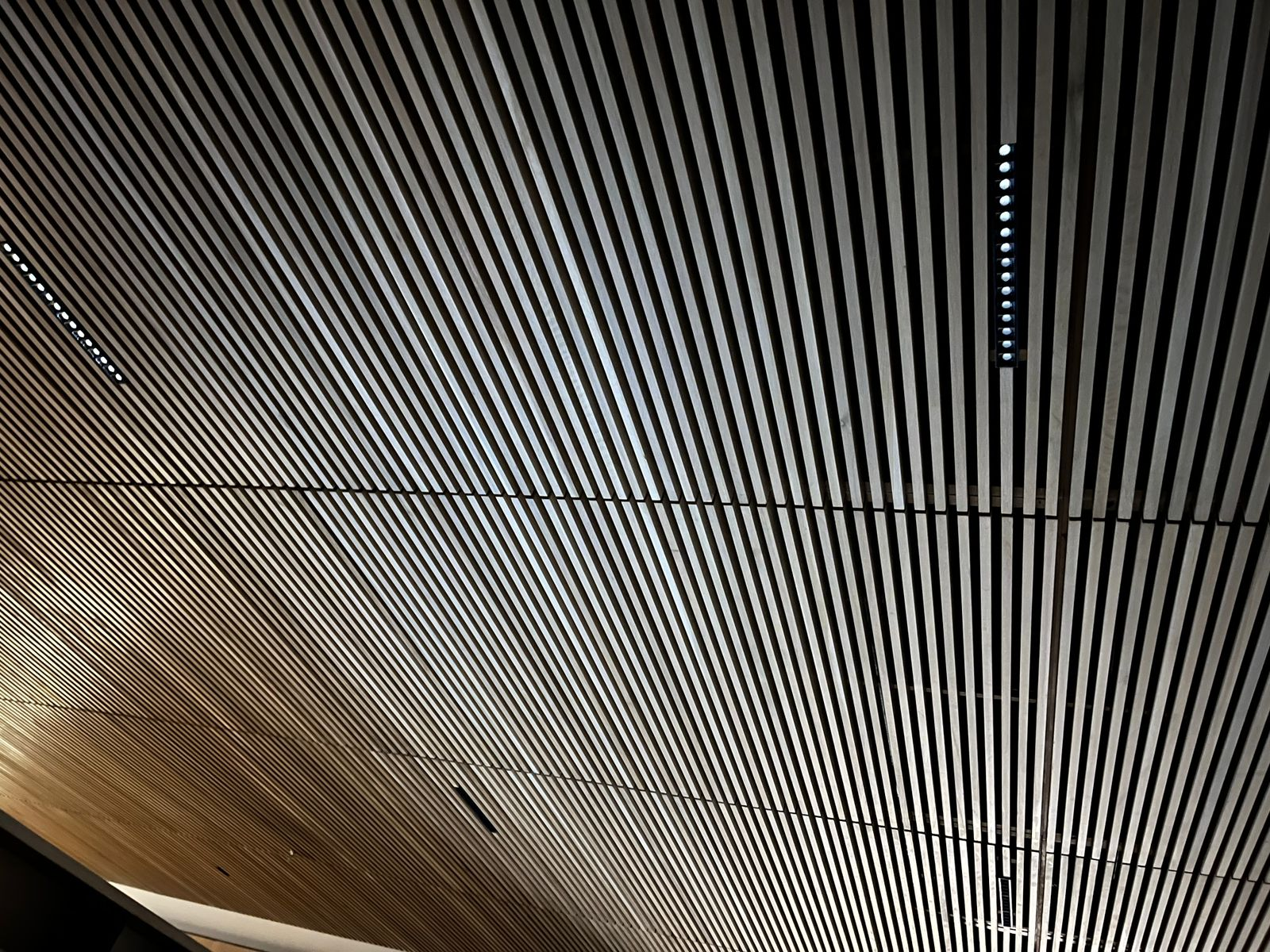 Plafón arquitectónico y detalle de iluminación